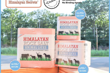 ® 5.5LB (2.5KG) Compressed Pink Himalayan Salt Lick | for Livestock and Wildlife Animals | 100% Pure & Natural Feed Salt Block | Natural Minerals and Trace Elements