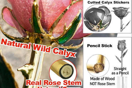 24K Gold Dipped Real Rose with Crystal Stand, Anniversary Valentines Day Romantic Gift for Her Wife Mom