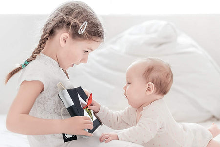 Baby Books Toys, Black and White Baby Toys, High Contrast Newborn Toys, Crinkle Sensory Toy, Montessori Toys, Tummy Time Toys, Baby Toys 0-3-6-9-12 Months, Infant Baby Boy Girl Gift, Mirror Toy